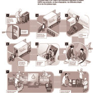 Infographics (Process)